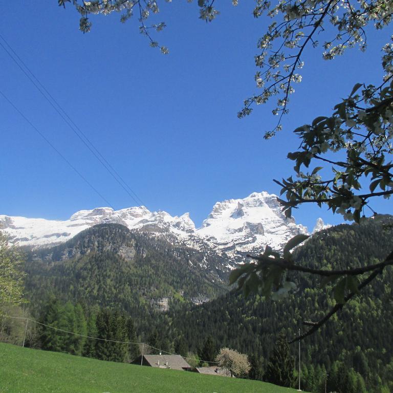 Maso Pin Bed & Breakfast Madonna di Campiglio